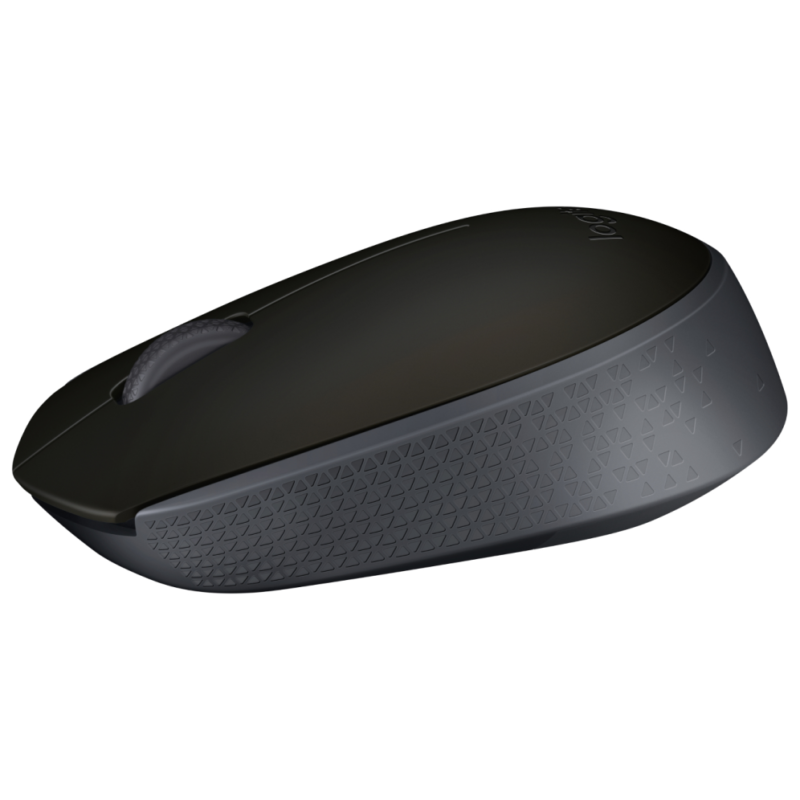 Logitech M171